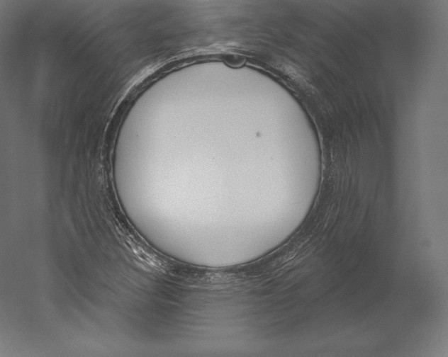 X0000060241308200511241323