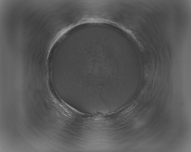 X0000060241319200511241323