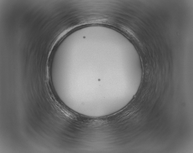 X0000060241324200511241323