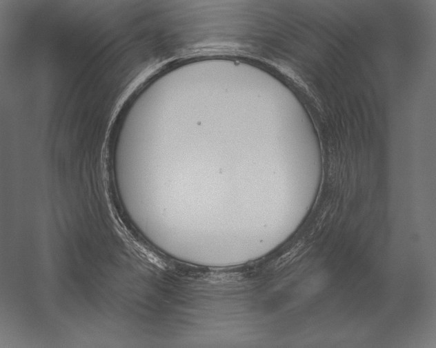 X0000060241325200511241323
