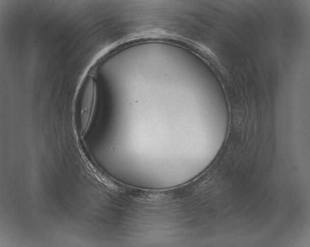 X0000060241326200511241323
