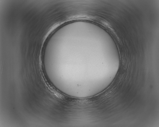 X0000060241328200511241323