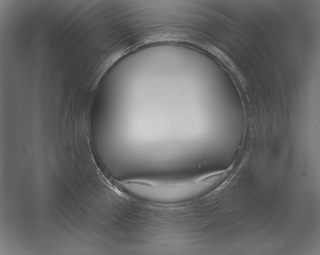 X0000060241337200511241323