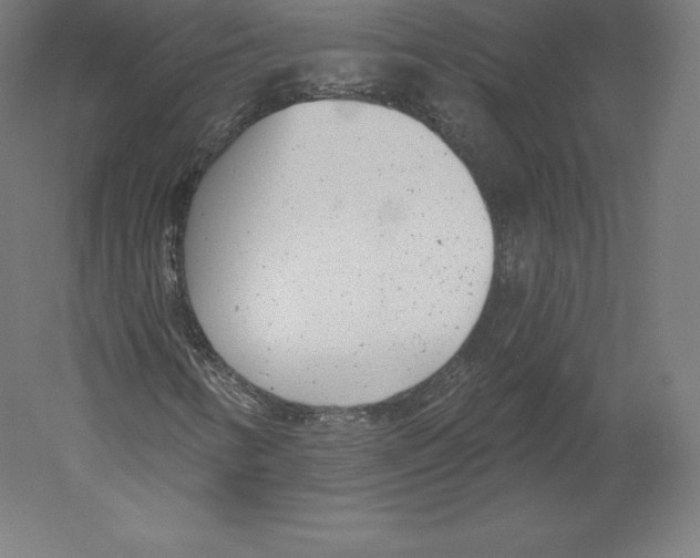 X0000060241346200511241322