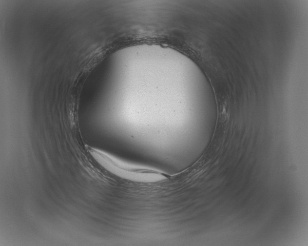 X0000060241348200511241322