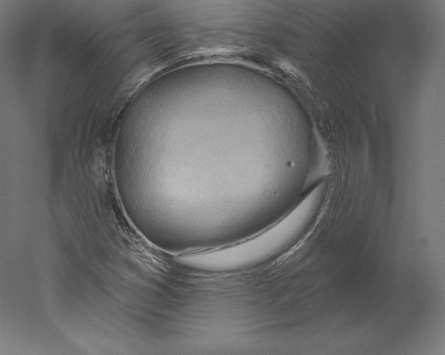 X0000060241353200511241322