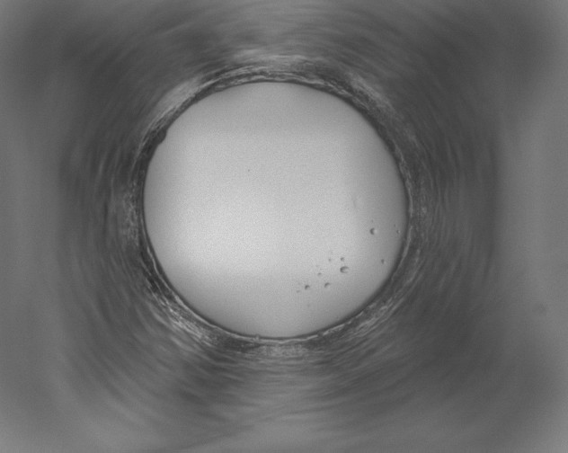 X0000060241354200511241322