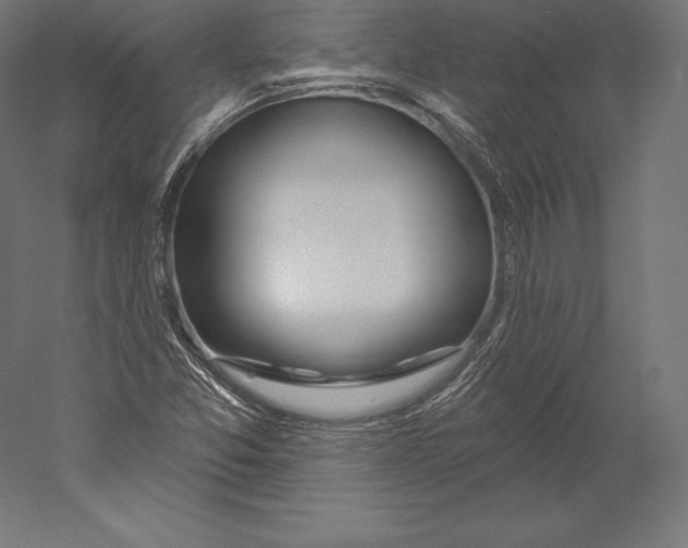X0000060241357200511241322