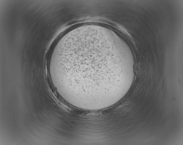 X0000060241368200511241322