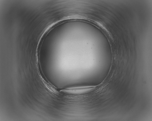 X0000060241372200511241322