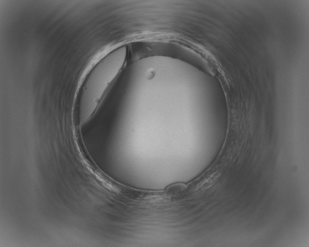 X0000060241373200511241322