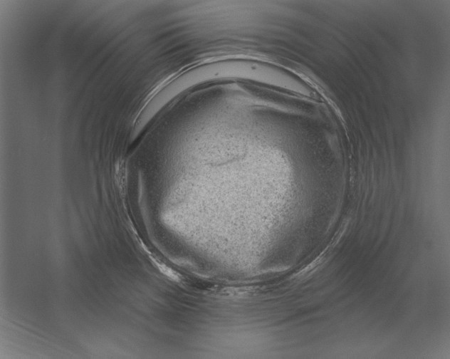 X0000060241385200511241322