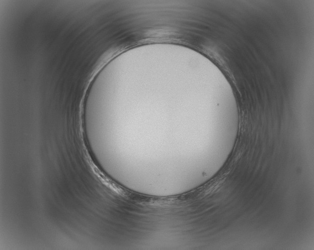 X0000060241386200511241322