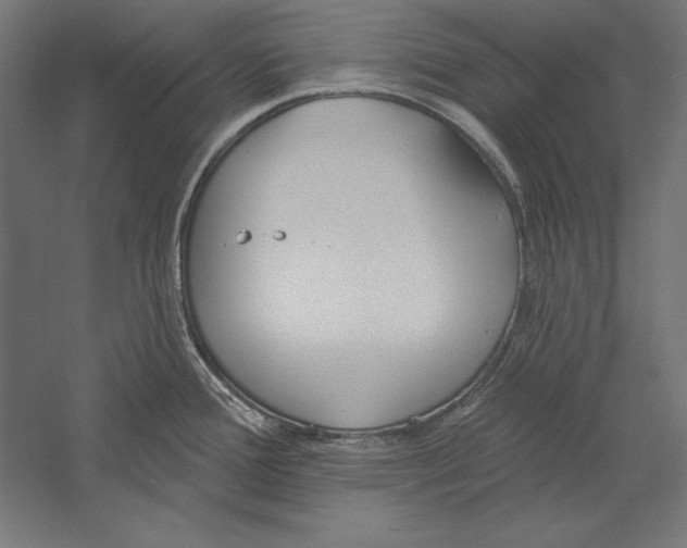 X0000060241388200511241322