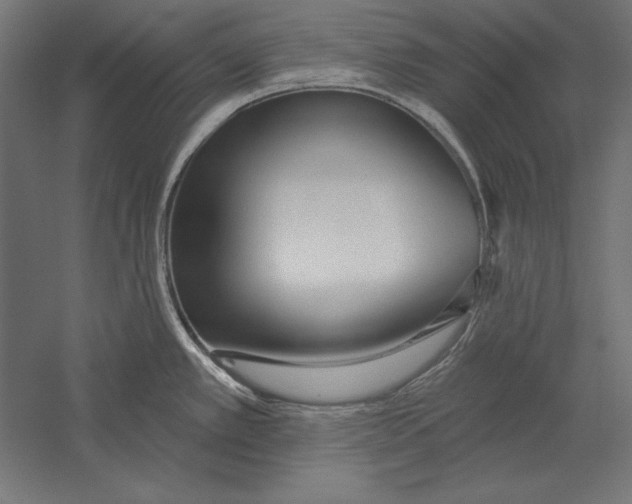 X0000060241389200511241322