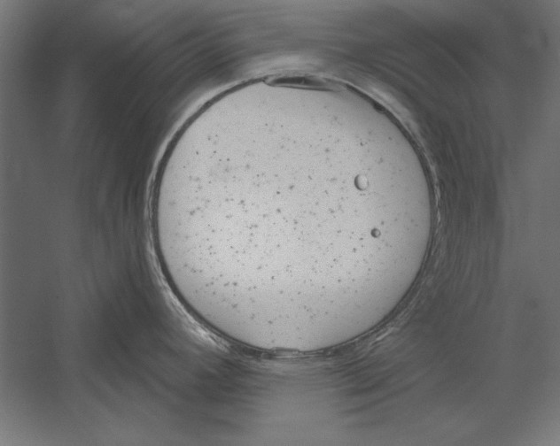 X0000060241392200511241322