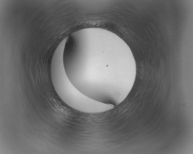X0000060241394200511241321