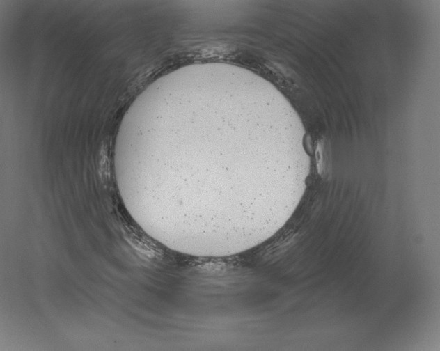 X0000060241395200511241321
