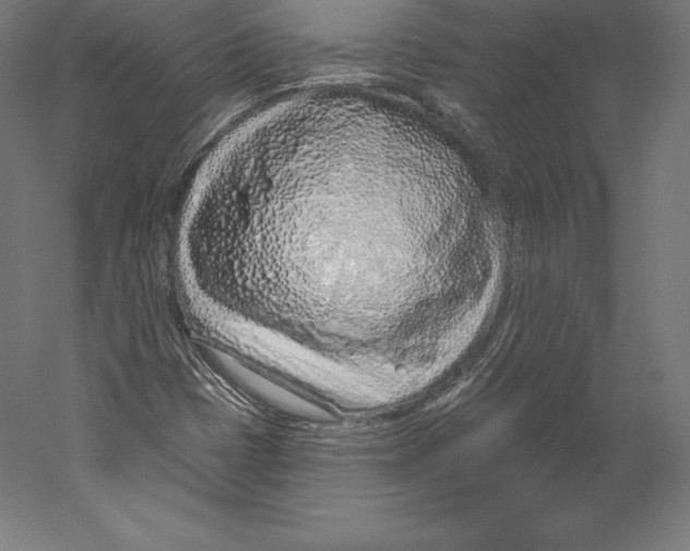 X0000060241401200511241321