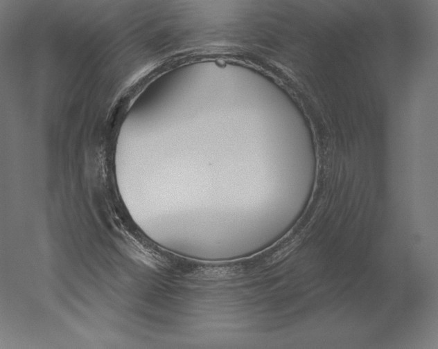 X0000060241402200511241321