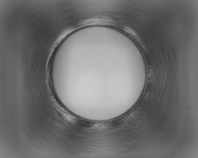 X0000060241419200511241321