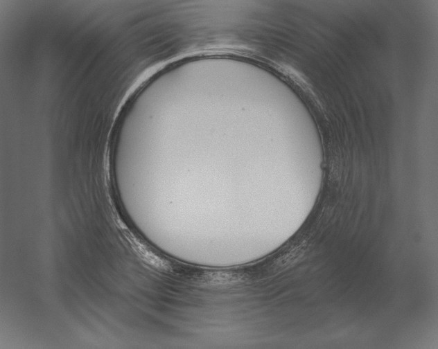 X0000060241420200511241321