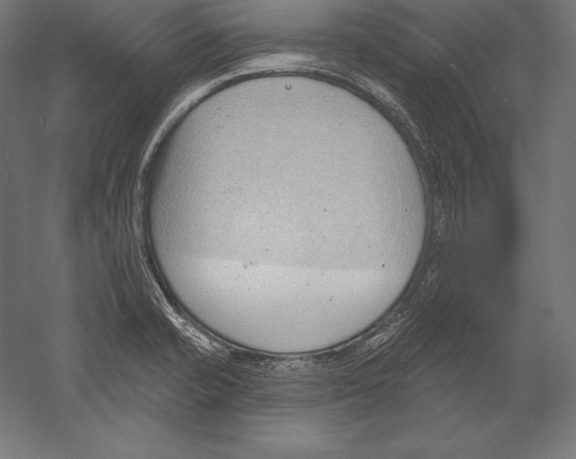 X0000060241421200511241321