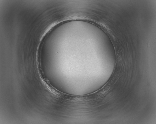 X0000060241422200511241321