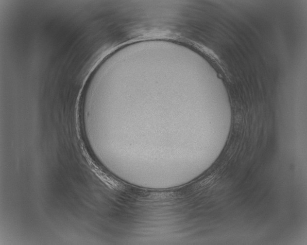 X0000060241423200511241321