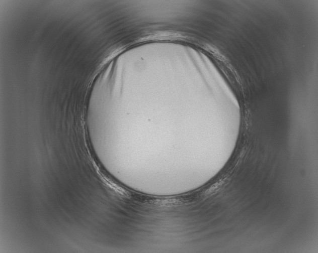 X0000060241425200511241321