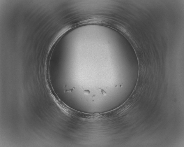 X0000060241426200511241321