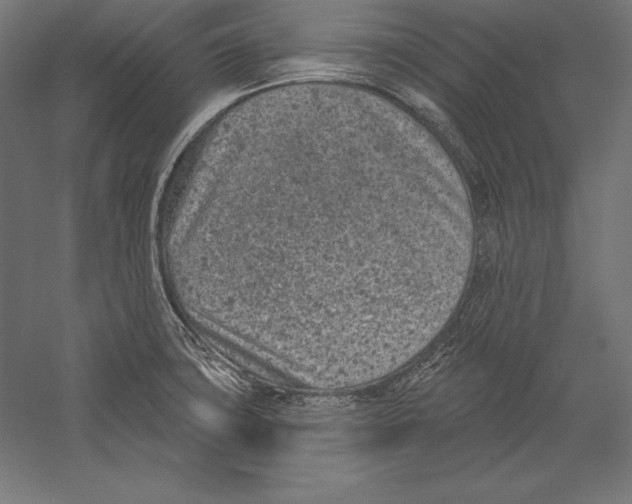 X0000060241427200511241321