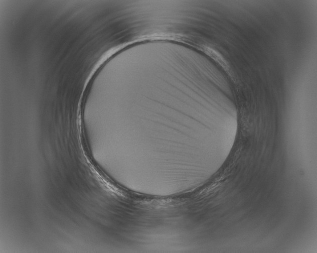 X0000060241428200511241321