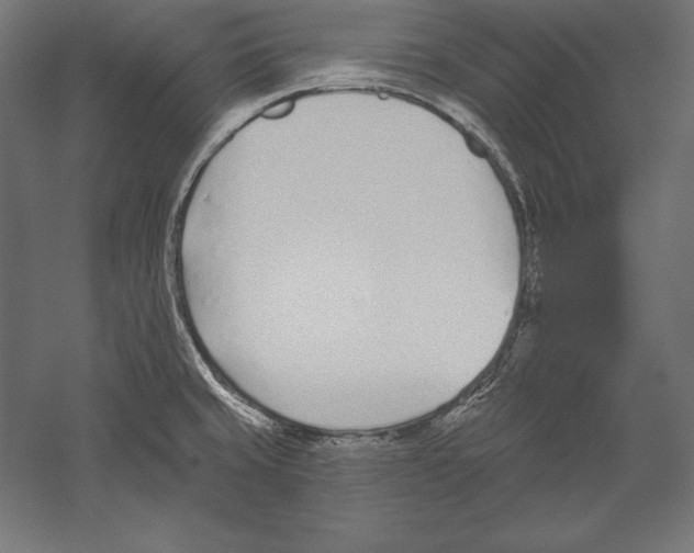 X0000060241429200511241321