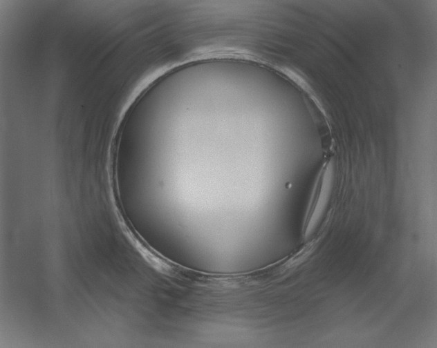 X0000060241438200511241322