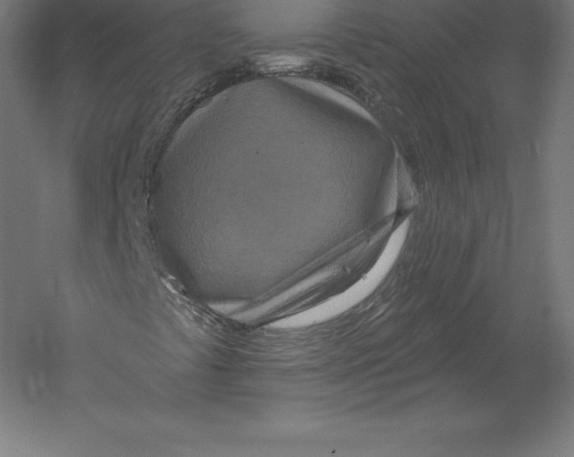 X0000060241441200511241321