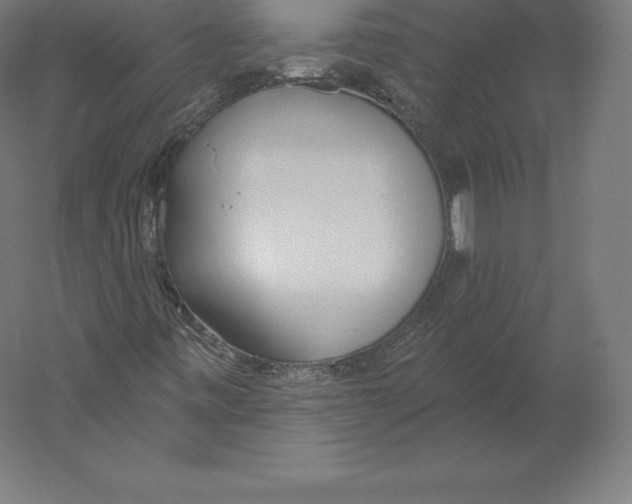 X0000060241443200511241321