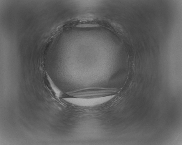 X0000060241445200511241321
