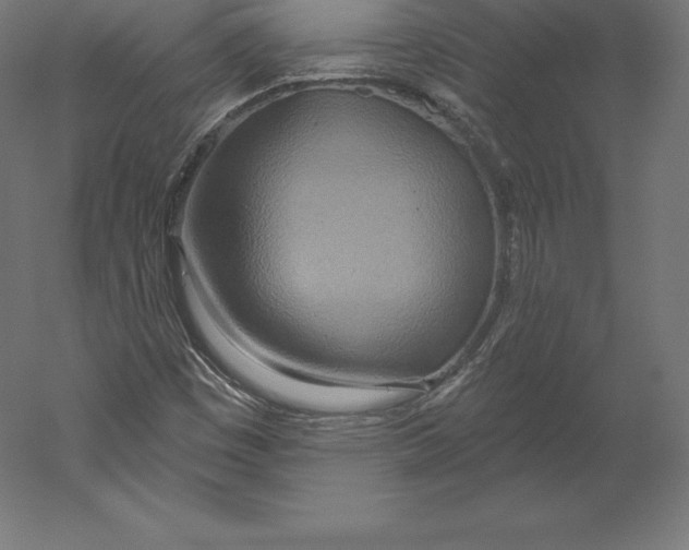 X0000060241449200511241321