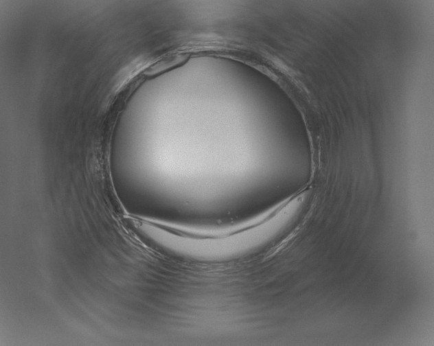 X0000060241453200511241321