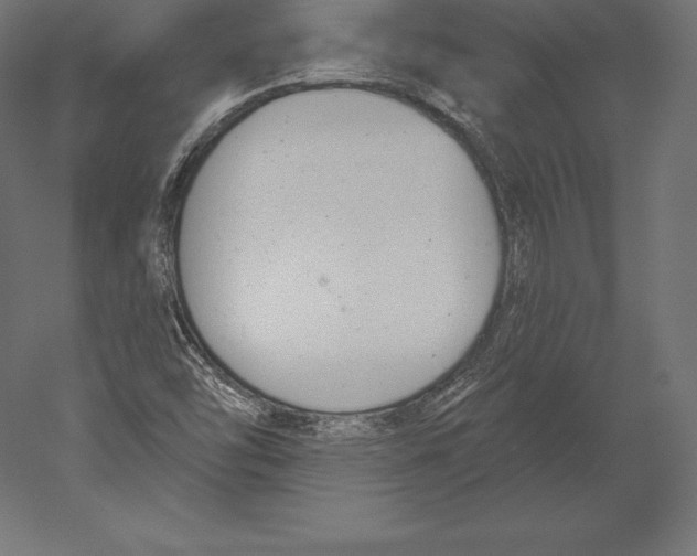 X0000060241454200511241320