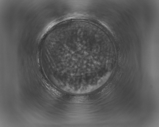 X0000060241455200511241320