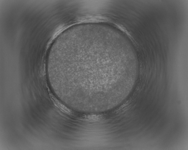 X0000060241459200511241320