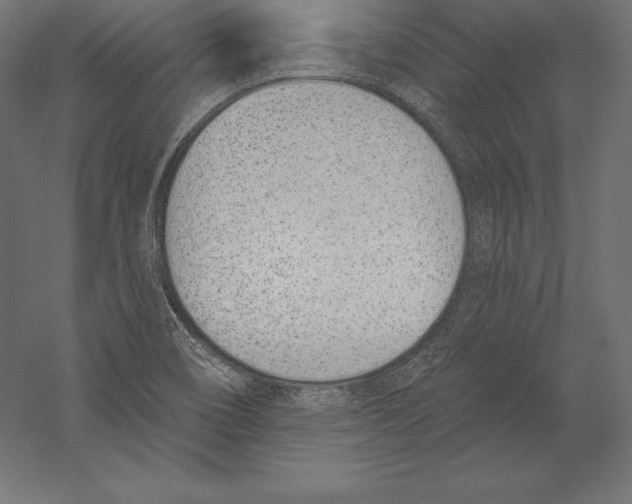 X0000060241466200511241320
