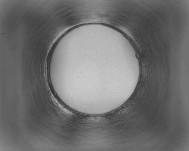 X0000060241468200511241320