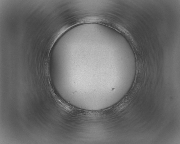 X0000060241473200511241320
