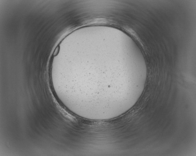 X0000060241475200511241320