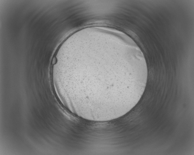 X0000060241482200511241320