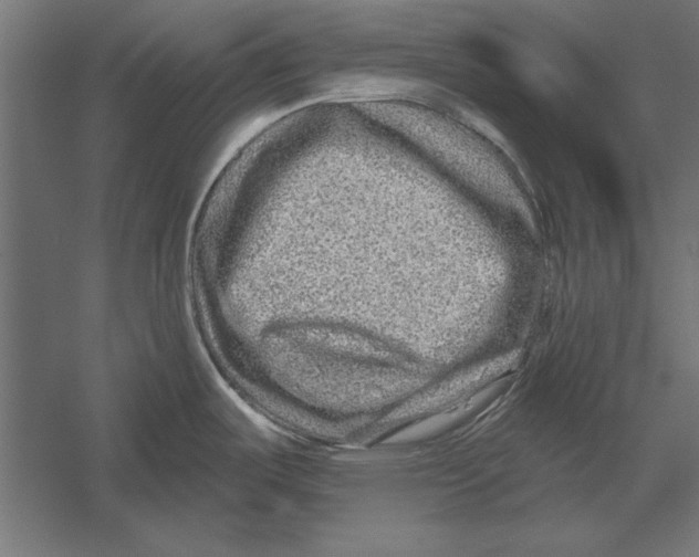 X0000060241487200511241320