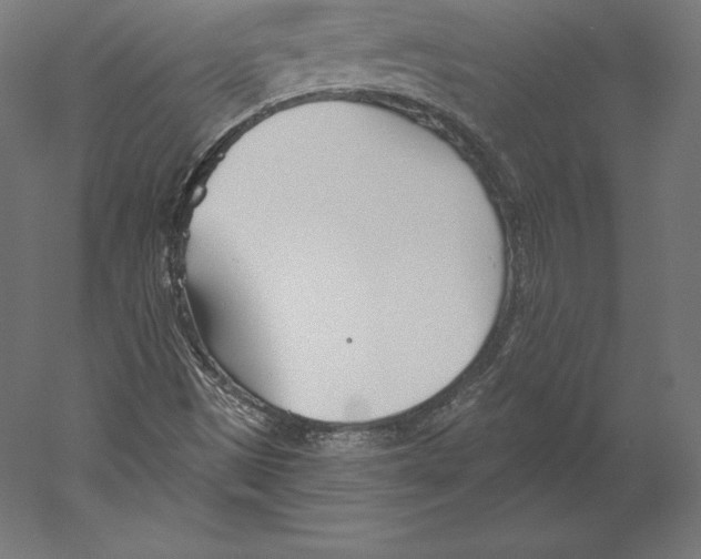 X0000060241497200511241319